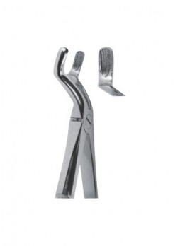 Extracting Forceps